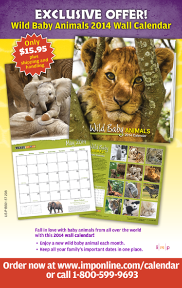 adrian naccari wex calendar flyer